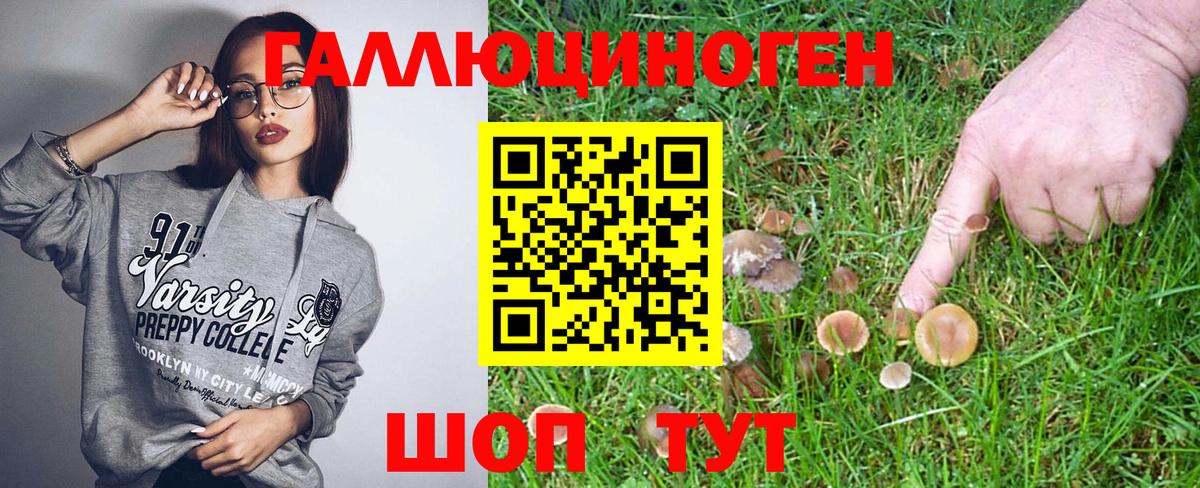 Ревда  даркнет сайт  Вход с VPN  Галлюциногенные грибы Magic Shrooms  Галлюциногенные грибы Cubensis 